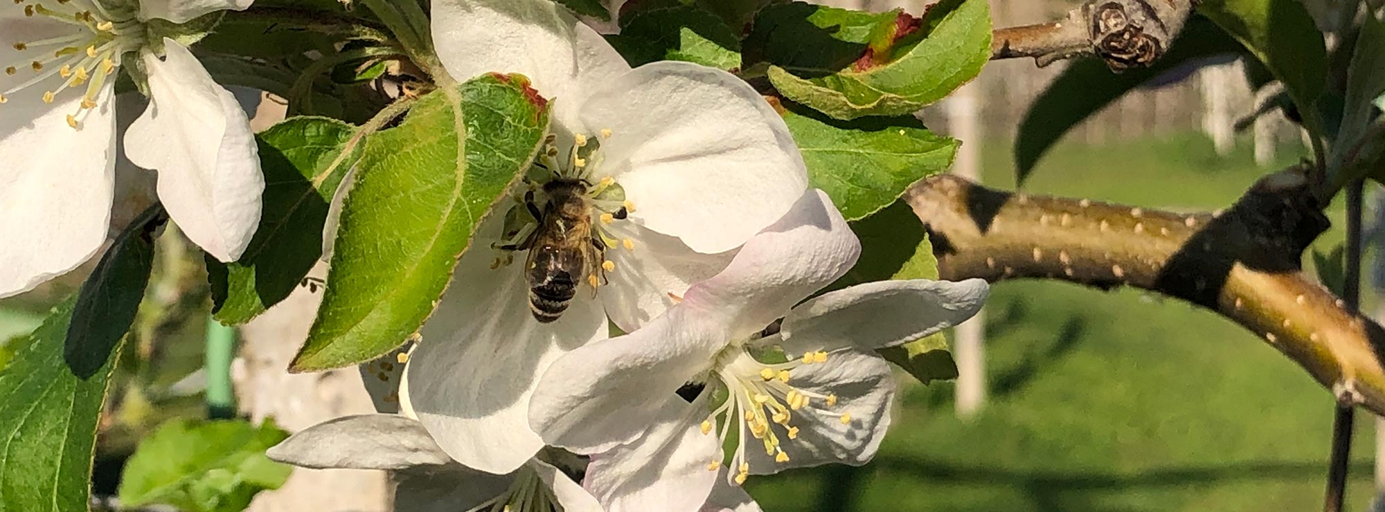 Le nostre particolarità