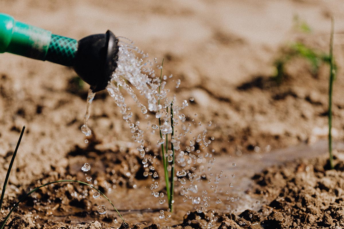 Meglio per l'ambiente 