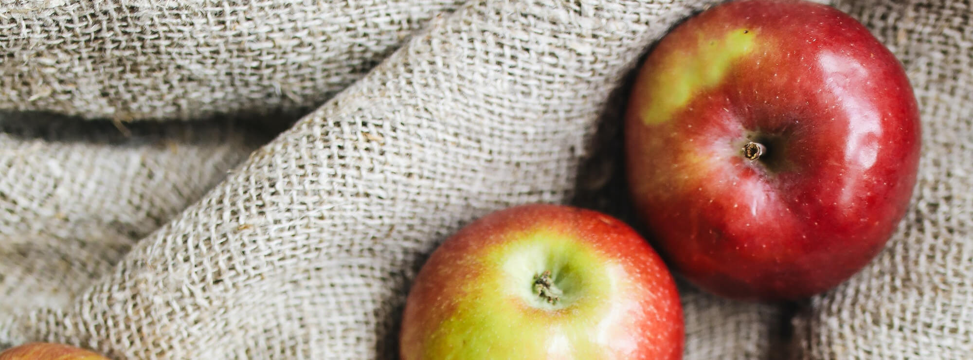 Apfelbauernhof in Meran